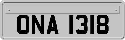 ONA1318