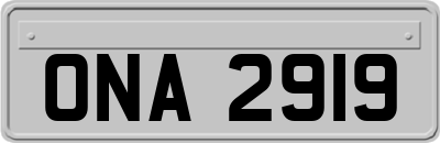 ONA2919