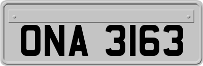 ONA3163
