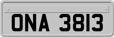 ONA3813