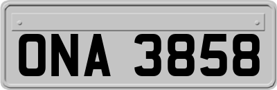 ONA3858