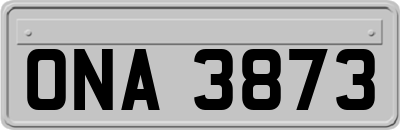 ONA3873