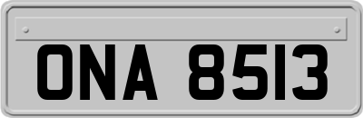 ONA8513