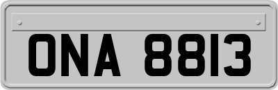 ONA8813