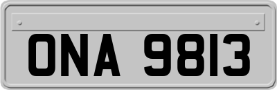 ONA9813