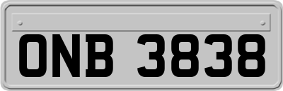 ONB3838