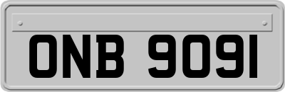 ONB9091