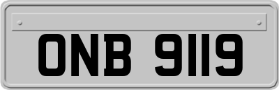 ONB9119
