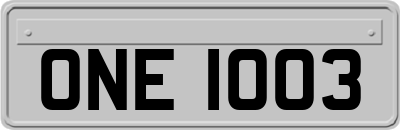ONE1003