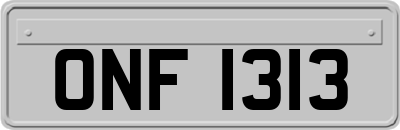ONF1313