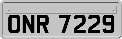 ONR7229