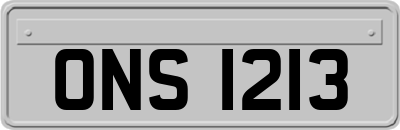ONS1213