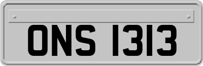 ONS1313
