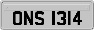 ONS1314