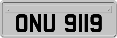 ONU9119