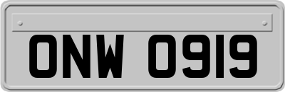 ONW0919
