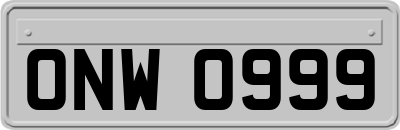 ONW0999