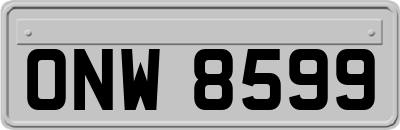 ONW8599