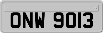 ONW9013