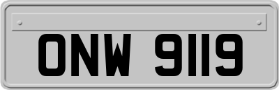 ONW9119