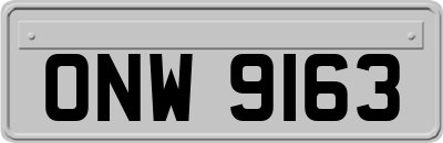 ONW9163