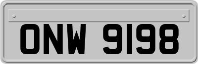 ONW9198