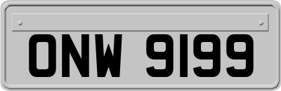 ONW9199