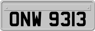 ONW9313