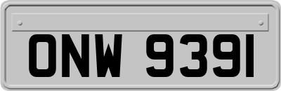 ONW9391