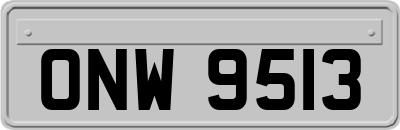 ONW9513