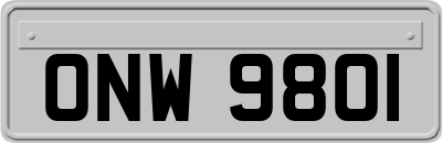 ONW9801