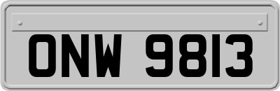 ONW9813