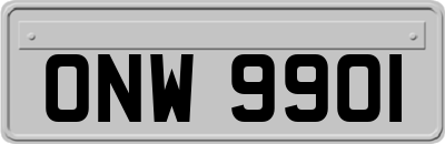 ONW9901