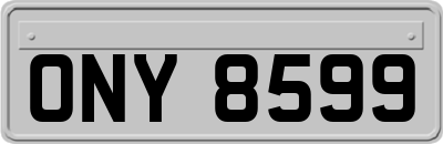 ONY8599