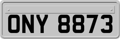 ONY8873