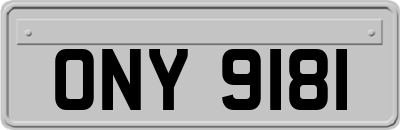 ONY9181