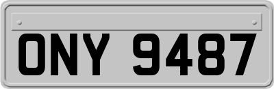 ONY9487