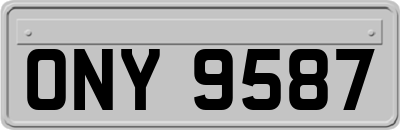 ONY9587