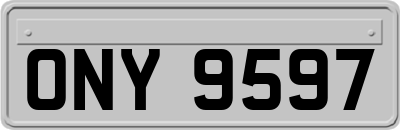 ONY9597