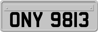 ONY9813