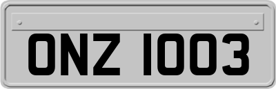 ONZ1003