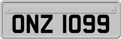 ONZ1099