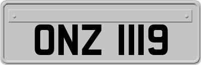ONZ1119