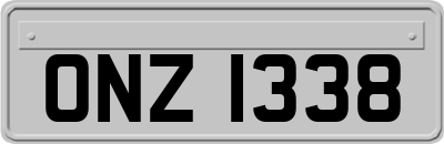 ONZ1338