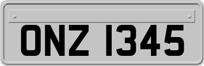 ONZ1345