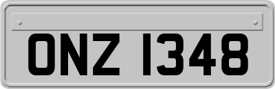 ONZ1348