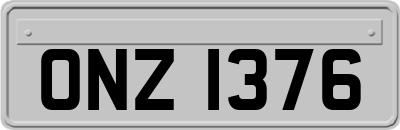 ONZ1376
