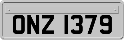 ONZ1379