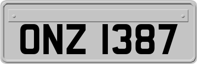 ONZ1387