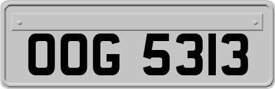 OOG5313